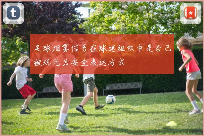 足球烟雾信号在球迷组织中是否已被规范为安全表达方式