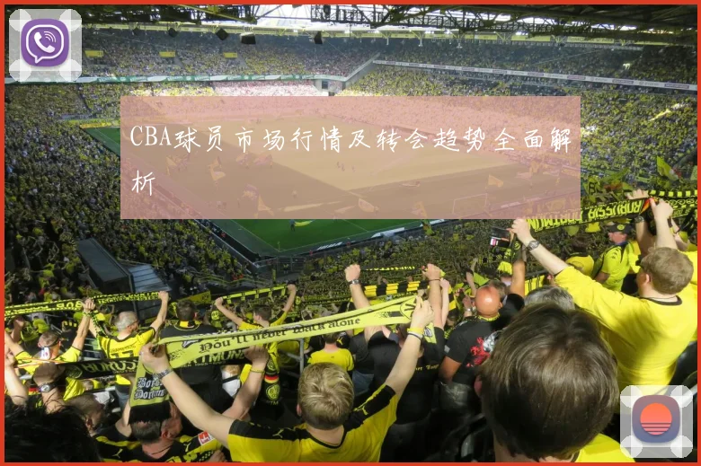 CBA球员市场行情及转会趋势全面解析