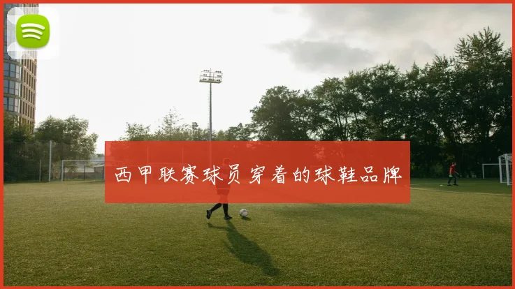 西甲联赛球员穿着的球鞋品牌